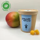 10% - Mangue 520 - IG 1.1.webp